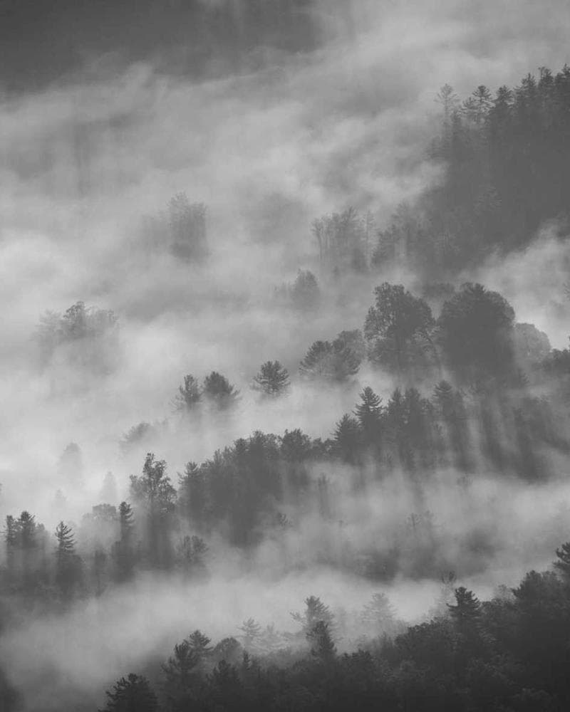 Victorian home solar installation