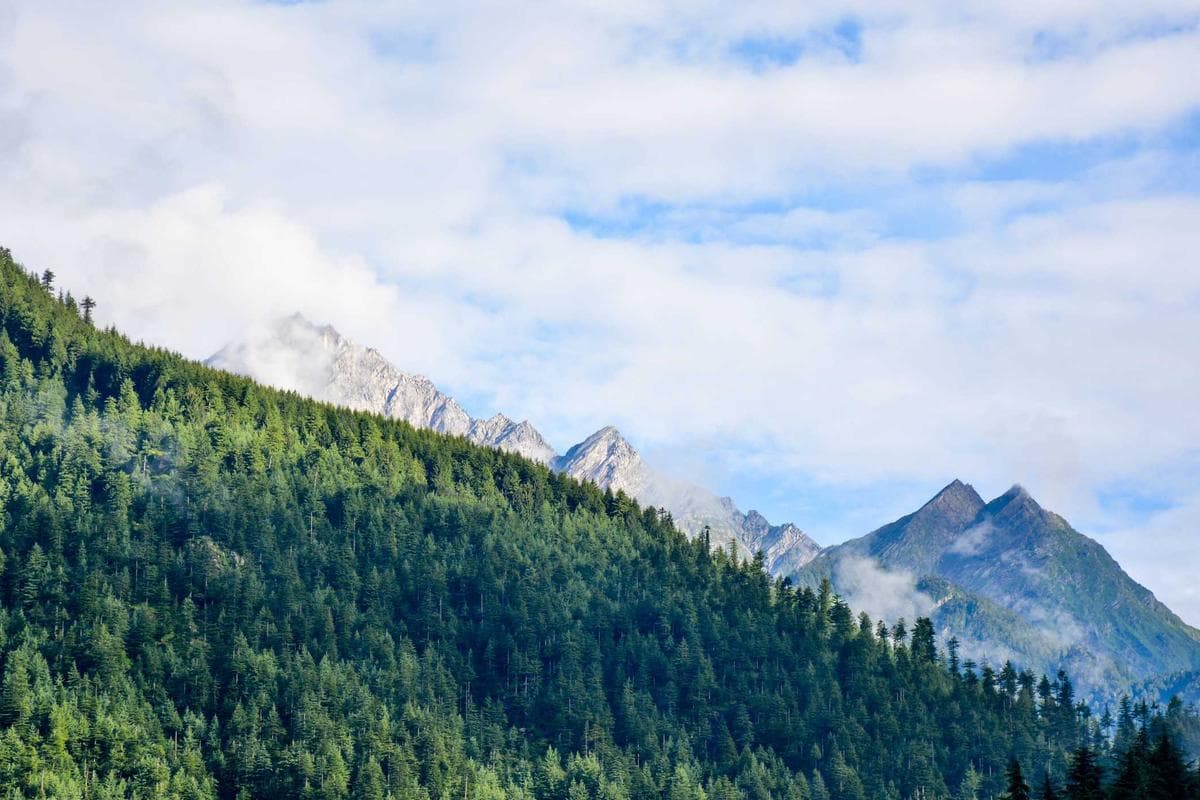 Large residential solar array